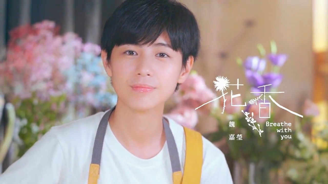 花香mv 魏嘉瑩 花香專輯 Line Music 花香mv 魏嘉瑩 花香專輯 Line Music